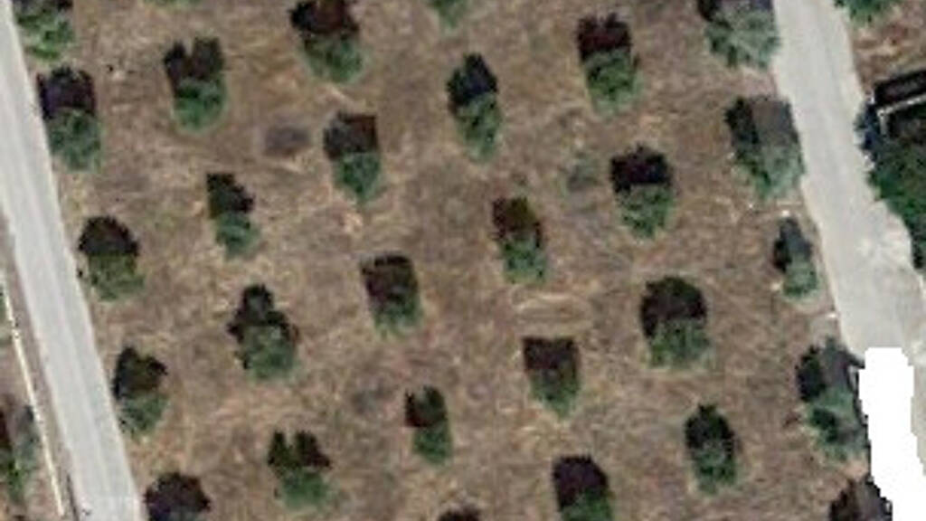 Land-/Forstwirtschaft zum Kauf 120.000 € 5.000 m² Grundstück Loutraki