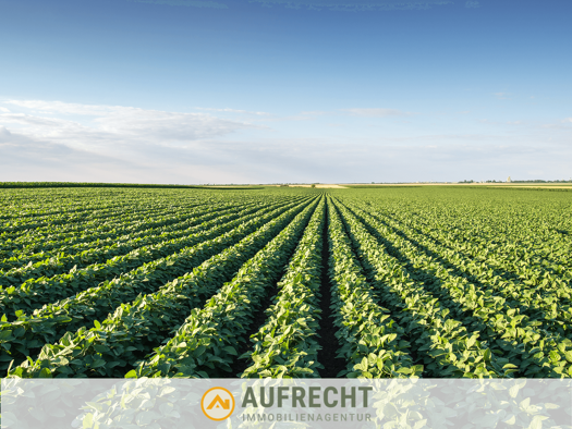 Land-/Forstwirtschaft zum Kauf 135.000 € 8.586 m² Grundstück Volkersdorf Jetzendorf 85305