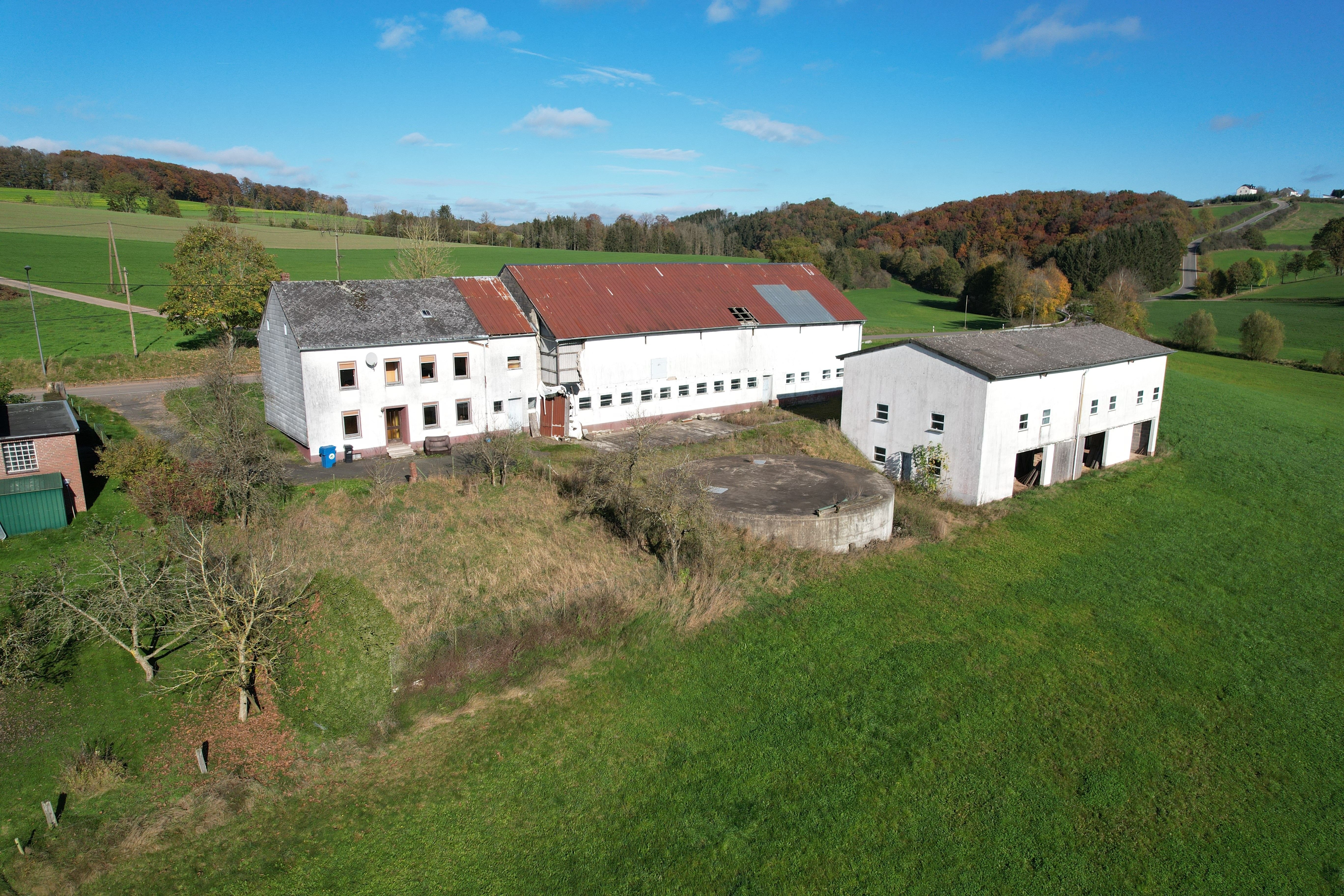 Bauernhaus zum Kauf 149.000 € 4 Zimmer 151 m²<br/>Wohnfläche 3.000 m²<br/>Grundstück ab sofort<br/>Verfügbarkeit Üttfeld 54619