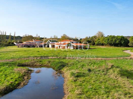 Herrenhaus zum Kauf 4.200.000 € 22 Zimmer 1.110 m² 150.000 m² Grundstück Óbidos Santa Maria, São Pedro e Sobral da Lagoa