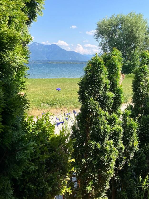 Wohnung zum Kauf - Neubau 698.300 € 3 Zimmer 79,4 m² 1. Geschoss Prien Prien am Chiemsee 83209