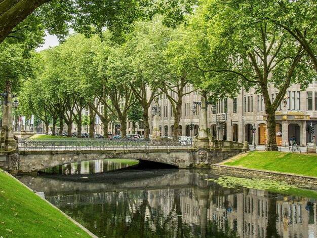 Bürofläche zur Miete provisionsfrei 1.550 € 20 m² Bürofläche Königsallee Stadtmitte Düsseldorf 40212