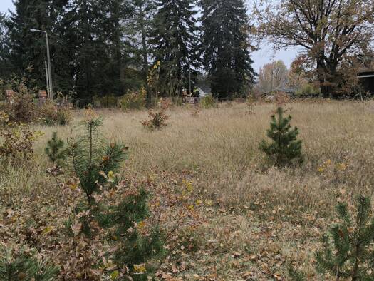 Grundstück zum Kauf 215.000 € 1.583 m² Grundstück Wolzig Heidesee OT Wolzig 15754