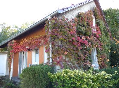 Einfamilienhaus zum Kauf 270.000 € 7 Zimmer 191 m² 796,7 m² Grundstück Höxter - Kernstadt Höxter 37671