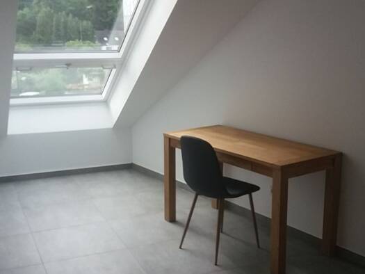 Wohnung zur Miete 360 € 1 Zimmer 22 m² 4 Geschosse frei ab sofort Kaiserstraße Scheidt Saarbrücken 66133