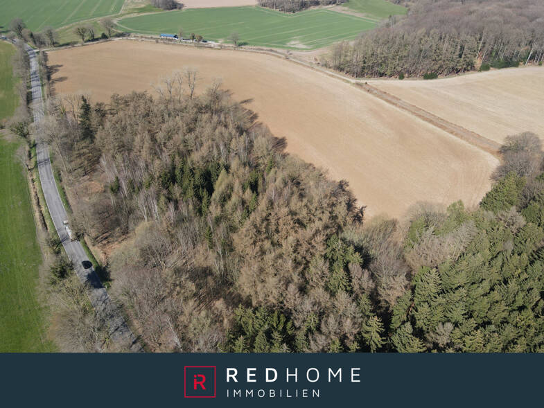 Land-/Forstwirtschaft zum Kauf 70.000 € 28.849 m² Grundstück Hennstedt 25581