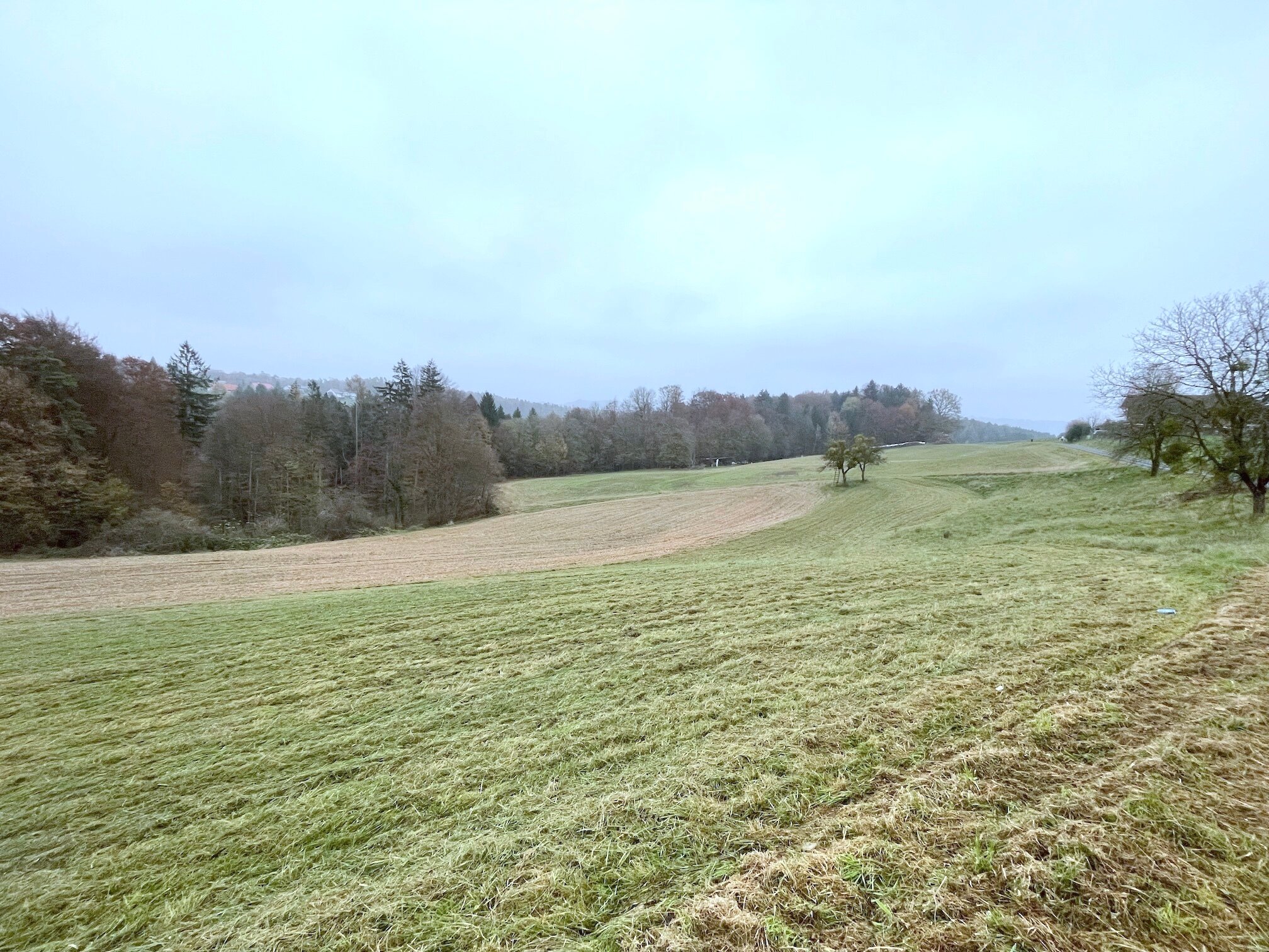 Landwirtschaftliche Fläche zum Kauf 115.900 € 25.755 m²<br/>Grundstück Kirchbach-Zerlach 8082