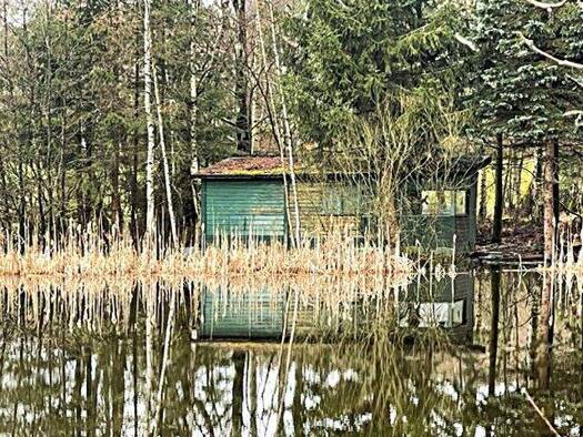 Grundstück zum Kauf 49.000 € 9.739 m² Grundstück nnordöstlich der Sparnecker Straße Weißenstadt Bad Weißenstadt am See 95163