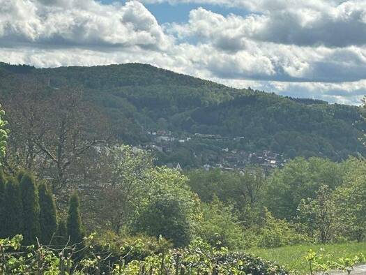 Haus zum Kauf 138.500 € 2 Zimmer 55 m² 1.114 m² Grundstück Biedenkopf 35216