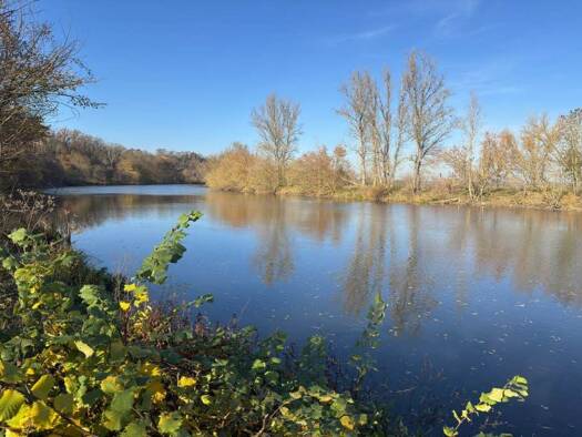 Mehrfamilienhaus zum Kauf 10 Zimmer 277 m² 1.686 m² Grundstück August-Bebel-Straße 10+11 Rothenburg Wettin-Löbejün 06193