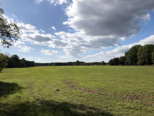 Grundstück zum Kauf 25.000 m² Grundstück Altstadt Brandenburg an der Havel 14770