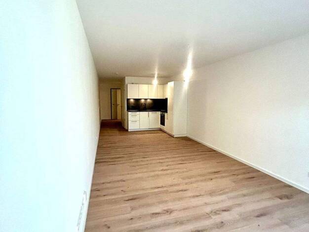 Wohnung zur Miete 1.154 € 2 Zimmer 57 m² Holbeinstraße 17 Schweinau Nürnberg 90441