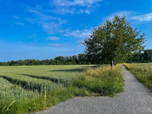 Grundstück zum Kauf 149.000 € 610 m² Grundstück Taucha 04425