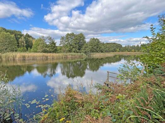 Bungalow zum Kauf 799.000 € 2 Zimmer 65 m² 3.988 m² Grundstück frei ab sofort Bredereiche Fürstenberg/Havel 16798