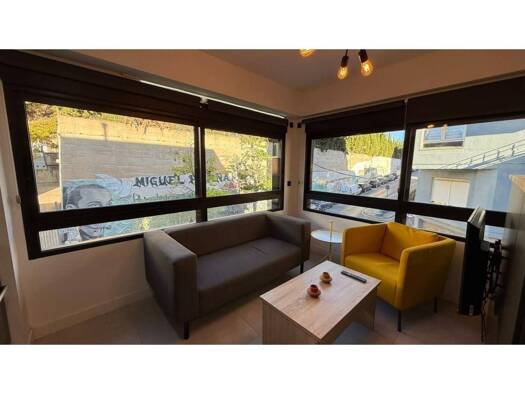 Wohnung zur Miete 760 € 1 Zimmer 40 m² EG Alicante 03005