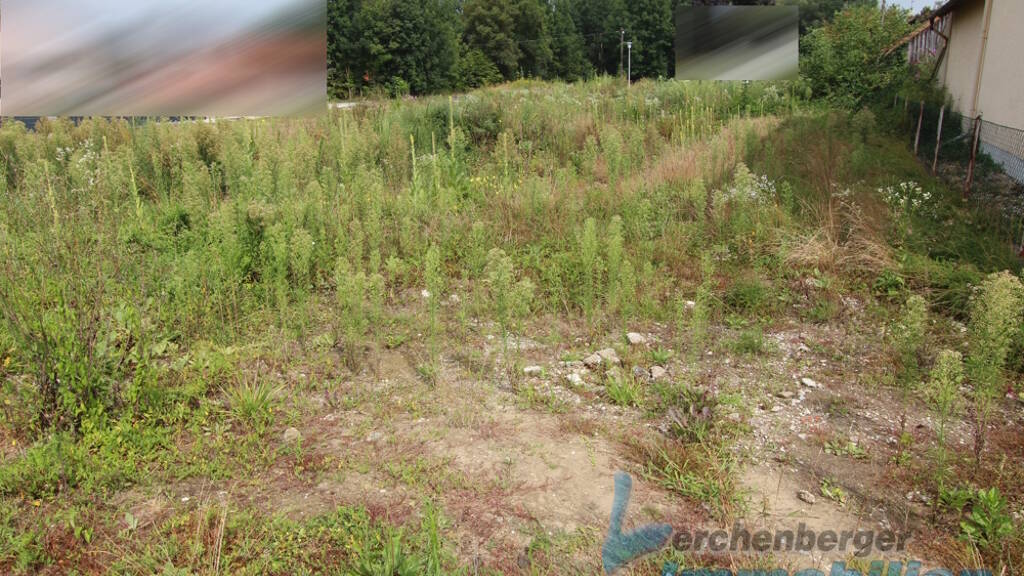 Grundstück zum Kauf 228.000 € 1.200 m² Grundstück Tabertshausen Aholming / Tabertshausen 94527
