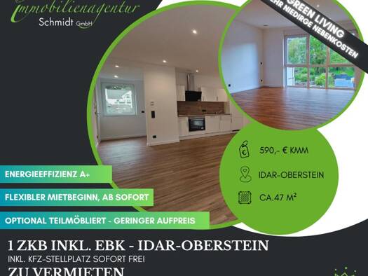 Wohnung zur Miete 590 € 1 Zimmer 47 m² 2. Geschoss Idar-Oberstein 55743