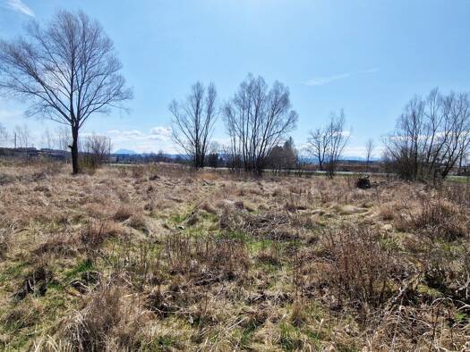 Grundstück zum Kauf 1.305.000 € 8.700 m² Grundstück Salzburger Straße Timelkam 4850