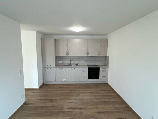 Studio zur Miete 1.000 € 1 Zimmer 96,9 m² 1. Geschoss frei ab sofort Brunnenstraße 10 Gusterath 54317
