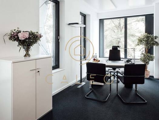 Bürofläche zur Miete provisionsfrei 45 m² Bürofläche teilbar ab 1 m² Neustadt Mitte 20354