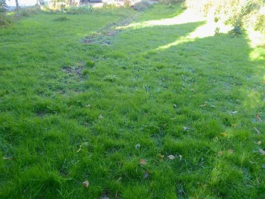 Grundstück zum Kauf 199.000 € 676 m² Grundstück Eschelbach Montabaur / Eschelbach 56410