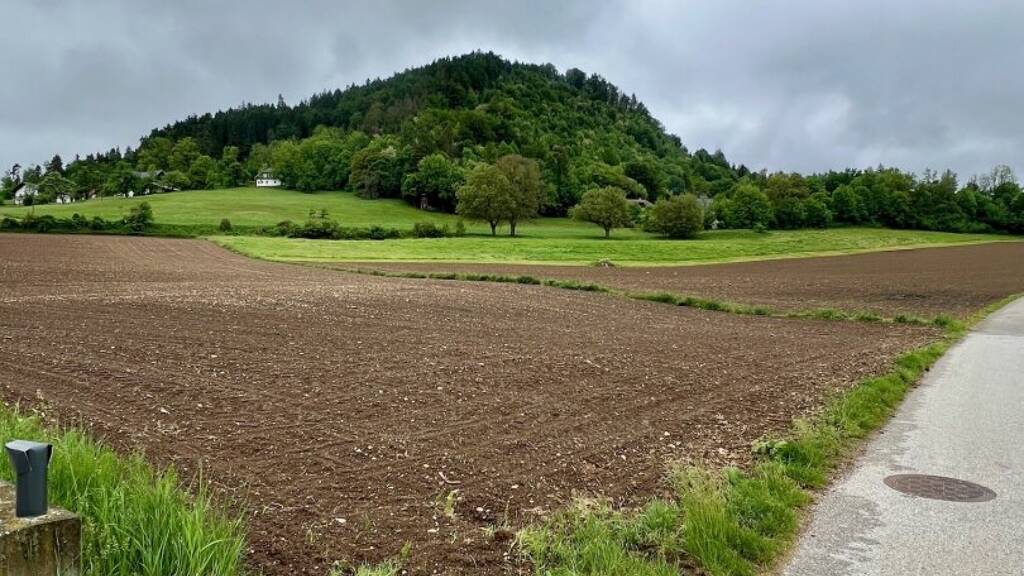 Grundstück zum Kauf 69.000 € 981 m² Grundstück Völkermarkt 9100