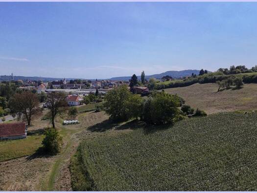 Grundstück zum Kauf 100 € 3.000 m² Grundstück Feldbach 8330