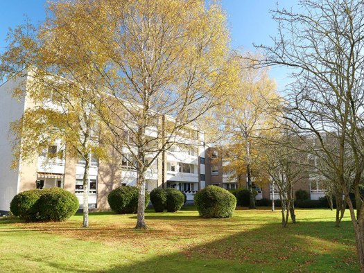 Wohnung zur Miete 485 € 1 Zimmer 39 m² EG frei ab sofort Wilhelmstraße 90 Fischeln Krefeld 47807