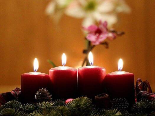 Einfamilienhaus zum Kauf 511.029 € 5,5 Zimmer 122 m² 626 m² Grundstück Tecklenburg 49545