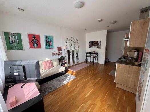 Wohnung zur Miete 461 € 2 Zimmer 43,7 m² 3. Geschoss Wiener Sraße 43 Lustenau Linz 4020