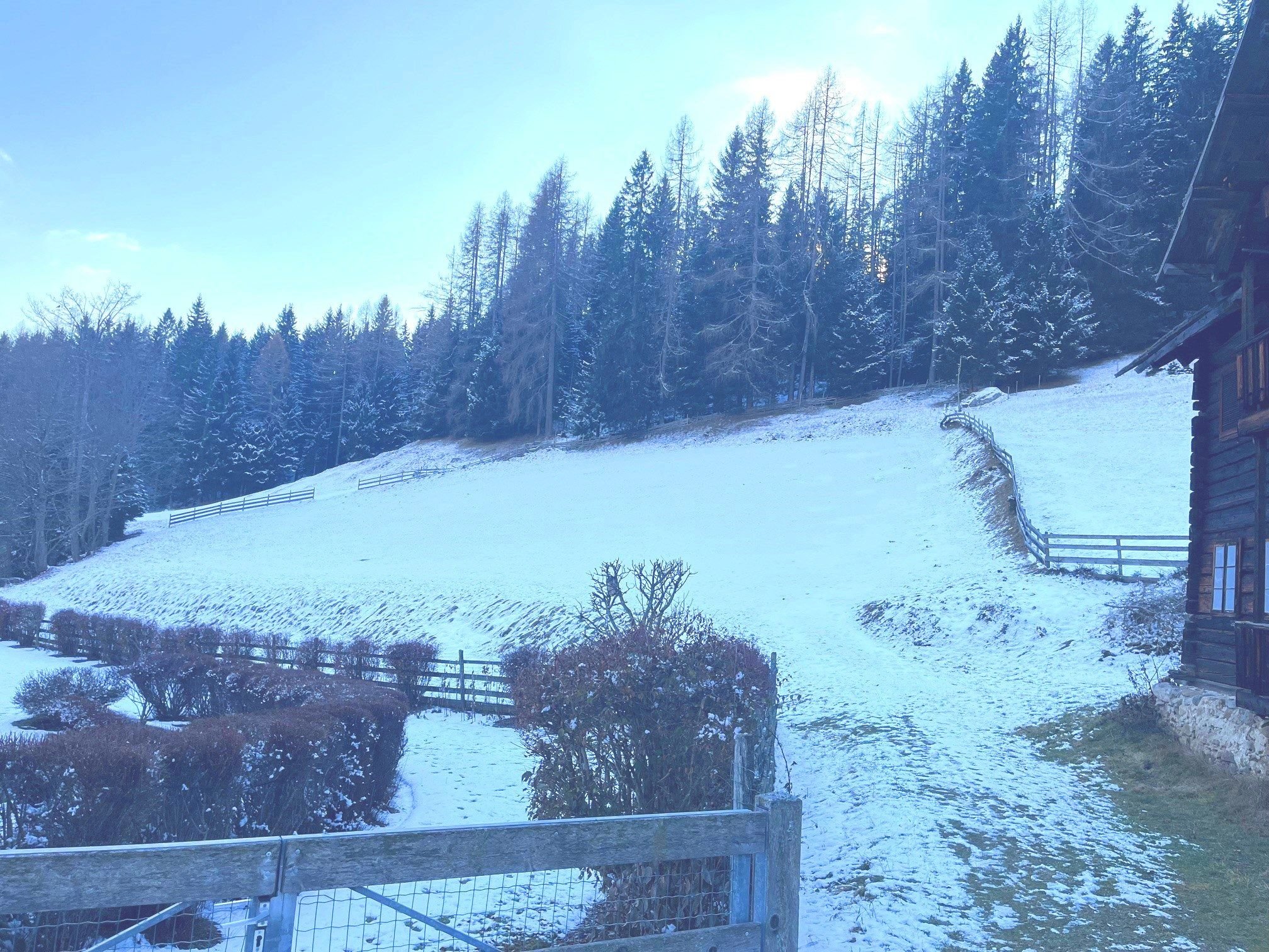 Grundstück zum Kauf 198.000 € Bad Kleinkirchheim 9546