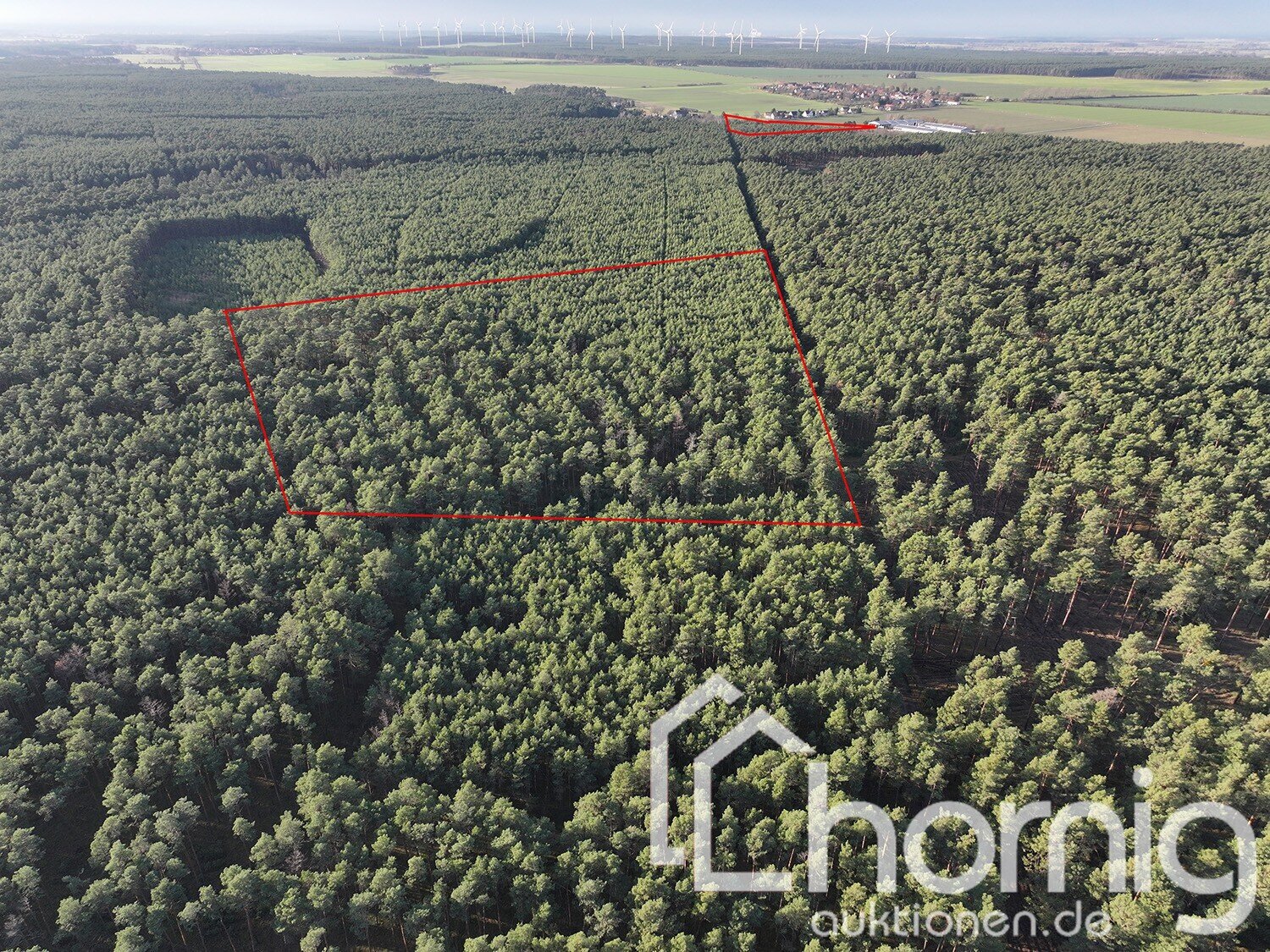 Land-/Forstwirtschaft zum Kauf 59.900 € 80.547 m²<br/>Grundstück Doberlug-Kirchhain Doberlug-Kirchhain / Prießen 03253