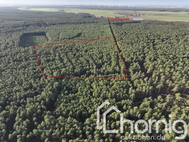 Land-/Forstwirtschaft zum Kauf 59.900 € 80.547 m² Grundstück Doberlug-Kirchhain Doberlug-Kirchhain / Prießen 03253