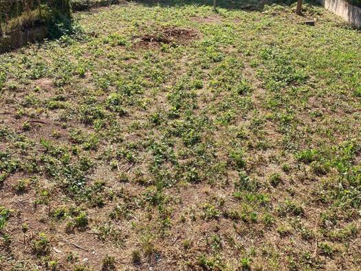 Grundstück zum Kauf 100.000 € 760 m² Grundstück frei ab sofort Bruchweiler-Bärenbach 76891