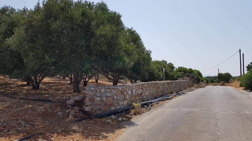 Land-/Forstwirtschaft zum Kauf 70.000 € 3.000 m² Grundstück Kreta