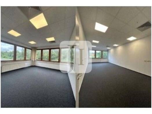 Bürofläche zur Miete 580 m² Bürofläche Büdelsdorf 24782
