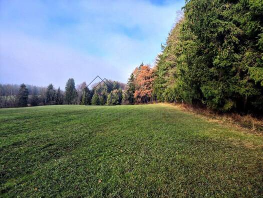 Land-/Forstwirtschaft zum Kauf 158.000 € 23.850 m² Grundstück Erling Andechs 82346