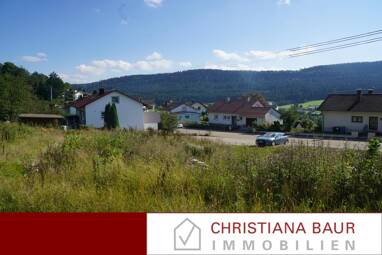Grundstück zum Kauf 139.000 € 949 m² Grundstück Wehingen 78564