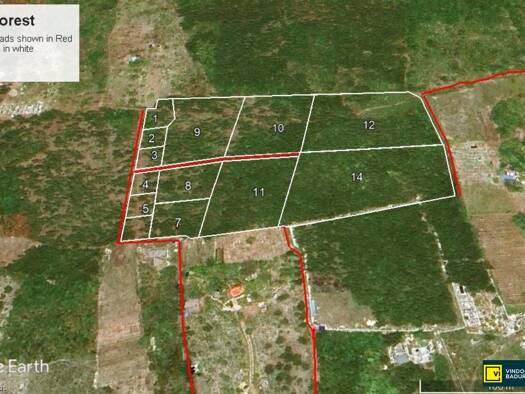 Grundstück zum Kauf 8.000 $ 800 m² Grundstück Paje 0000