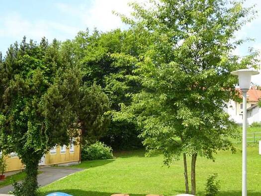 Wohnung zur Miete 520 € 2 Zimmer 56 m² EG Griesbach Bad Griesbach i.Rottal 94086