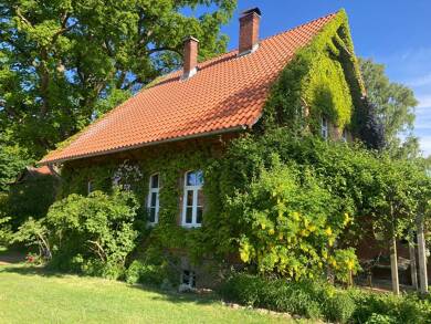 Haus zur Miete 1.260 € 6 Zimmer 160 m² 600 m² Grundstück Wessenstedt Natendorf 29587