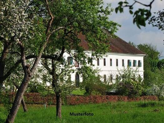 Einfamilienhaus zum Kauf 55.000 € 1 Zimmer 1 m² 3.640 m² Grundstück Forchheim Pockau-Lengefeld 09509