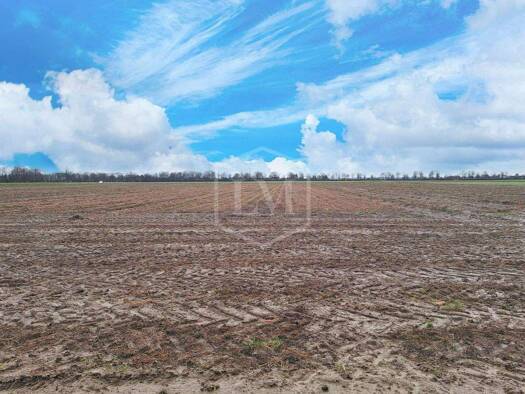 Landwirtschaftliche Fläche zum Kauf 145.000 € 10.154 m² Grundstück Korschenbroich 41352