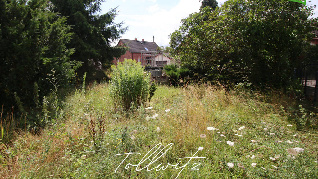 Grundstück zum Kauf 89.001 € 2.500 m² Grundstück Tollwitz Bad Dürrenberg 06231