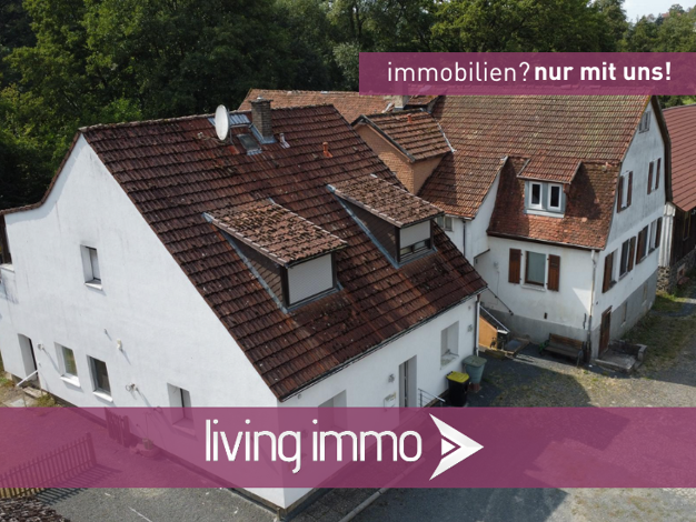 Haus zum Kauf 395.000 € 12 Zimmer 270 m² 3.000 m² Grundstück Homberg Homberg (Ohm) 35315
