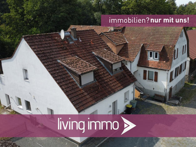 Haus zum Kauf 395.000 € 12 Zimmer 270 m² 3.000 m² Grundstück Homberg Homberg (Ohm) 35315