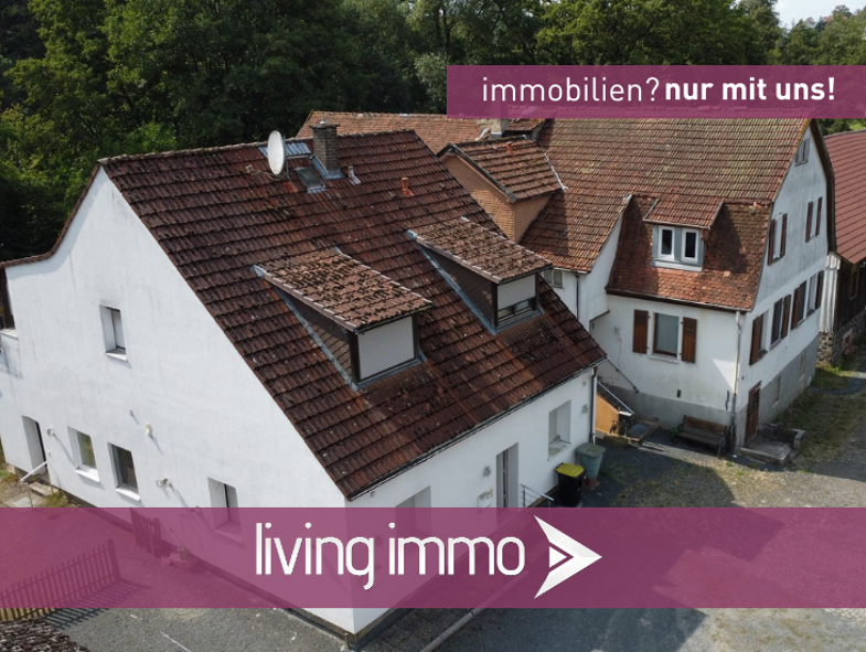 Haus zum Kauf 395.000 € 12 Zimmer 270 m² 3.000 m² Grundstück Homberg Homberg (Ohm) 35315