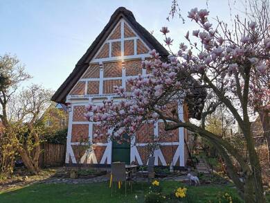 Einfamilienhaus zum Kauf 498.000 € 2 Zimmer 115 m² 716 m² Grundstück Steinkirchen 21720
