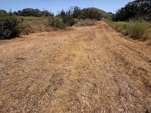 Grundstück zum Kauf 52.500 € Carretera La Esperanza A Llano Moro, 9 A El Rosario 38290