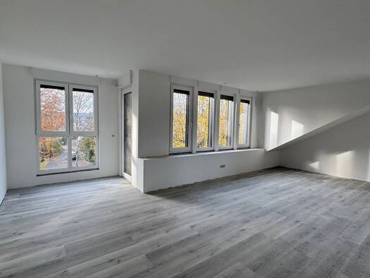 Wohnung zur Miete 1.150 € 2 Zimmer 75 m² frei ab sofort Heiligkreuz Trier 54295